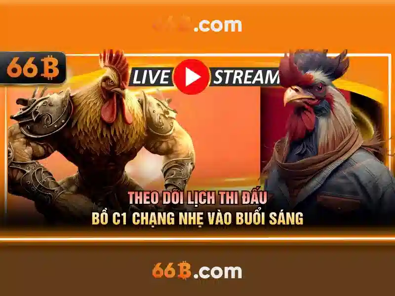 cá cược Slot - 66B cá cược Slot - 66B