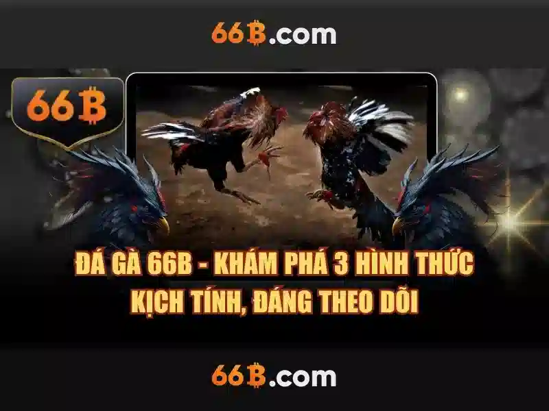 💎làm đại lý nhà cái💎 💎làm đại lý nhà cái💎