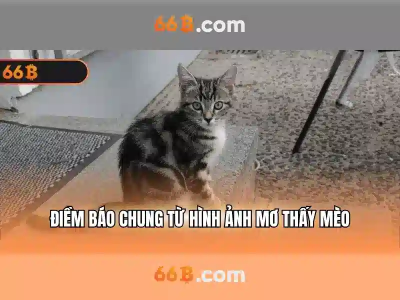 💎happy pig slots ios💎 💎happy pig slots ios💎