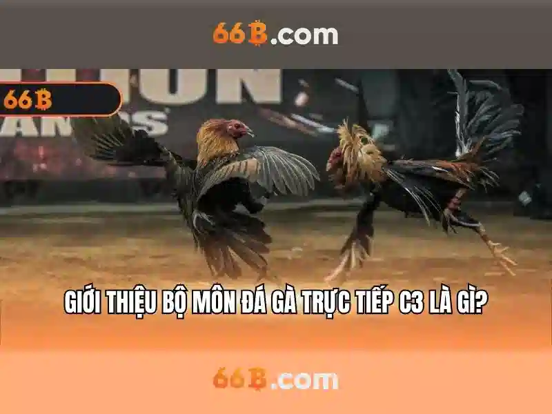 game bài đổi thưởng 66B - 66B game bài đổi thưởng 66B - 66B