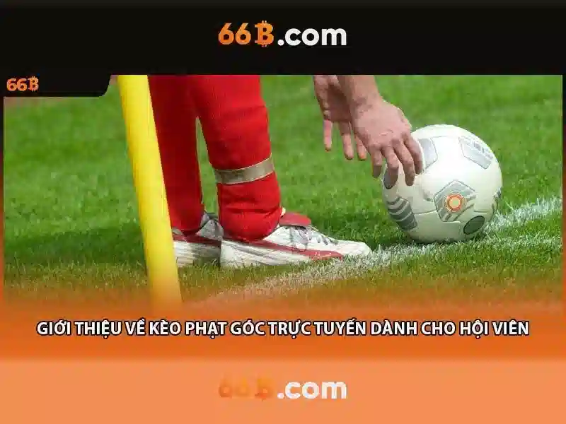 💎nhà cái queen99💎 💎nhà cái queen99💎