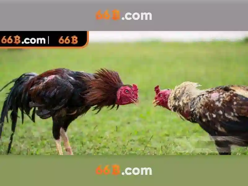 💎kèo nhà cái trận tây ban nha hôm nay💎 💎kèo nhà cái trận tây ban nha hôm nay💎