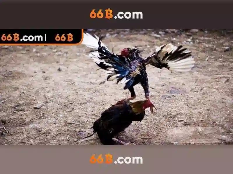 💎xử lý đánh bạc dưới 5 triệu💎 💎xử lý đánh bạc dưới 5 triệu💎