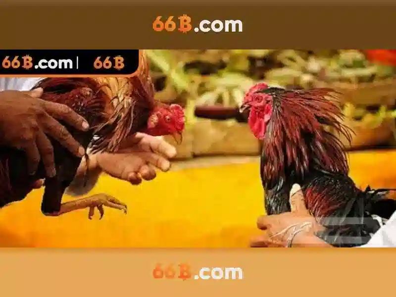 💎polkadot auction slot💎 💎polkadot auction slot💎