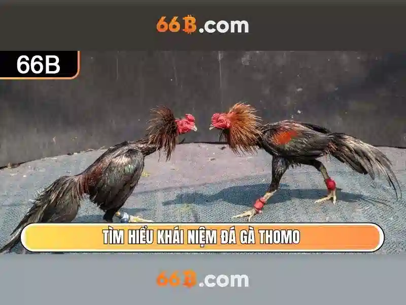 💎đánh cảm bằng dây chuyền bạc💎 💎đánh cảm bằng dây chuyền bạc💎