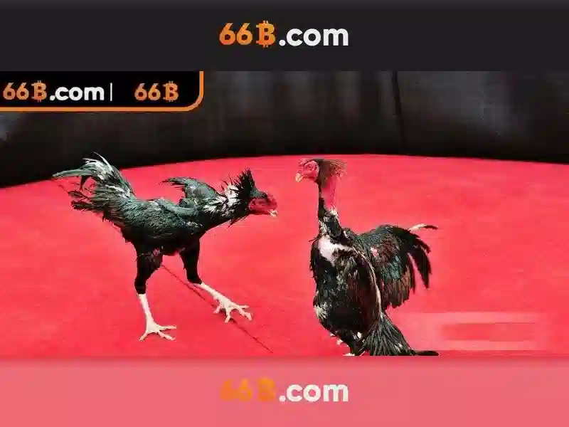 💎slot 4k💎 💎slot 4k💎