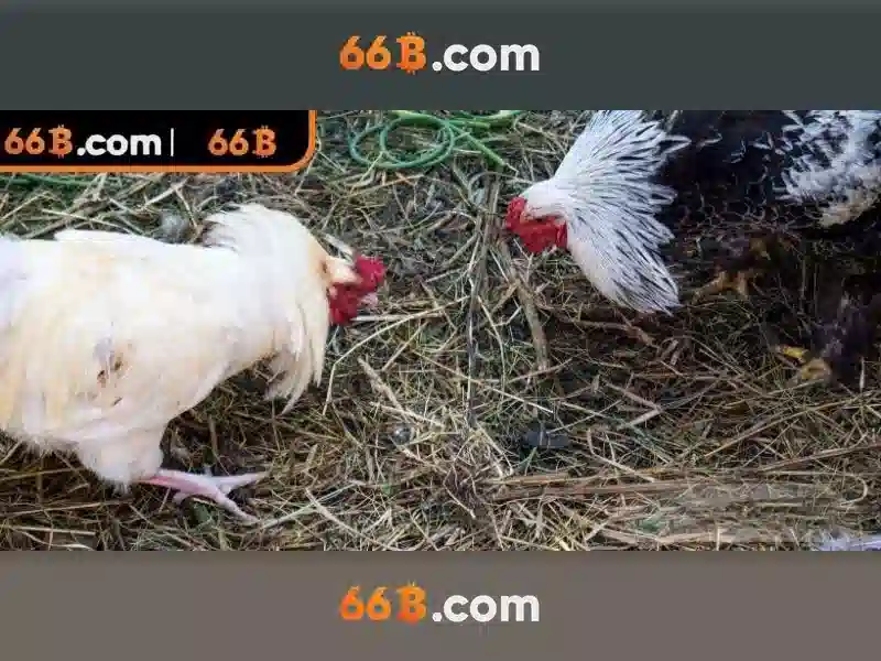 💎dragons dynasty slot💎 💎dragons dynasty slot💎