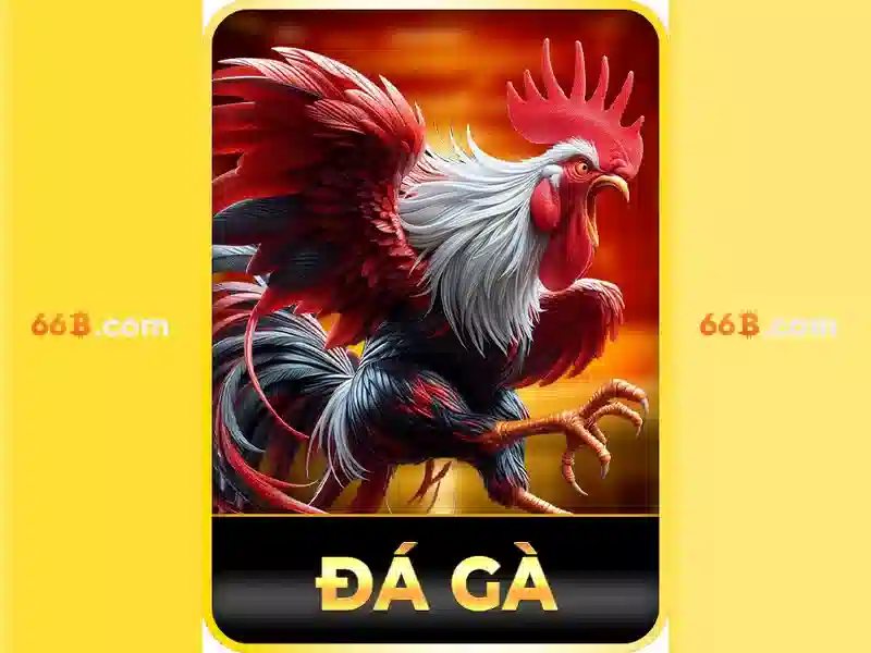 💎nha tho cai lay💎 💎nha tho cai lay💎