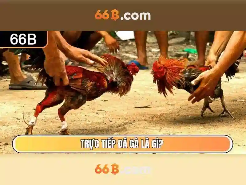 💎188bet trang ca cuoc bong da💎 💎188bet trang ca cuoc bong da💎