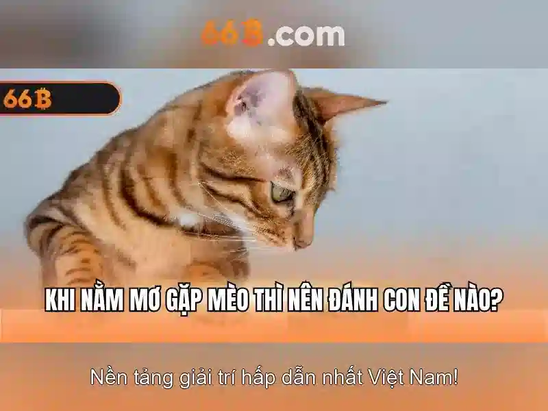 💎keo nha cai mancity💎 💎keo nha cai mancity💎