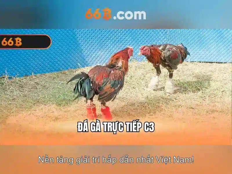 💎may danh bac 2020💎 💎may danh bac 2020💎