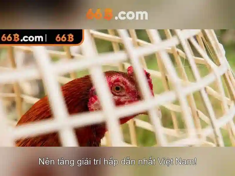 💎buffalo grand slots free💎 💎buffalo grand slots free💎