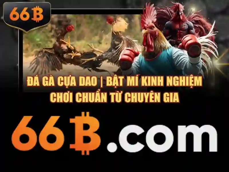 nổ hũ 66B - 66B nổ hũ 66B - 66B